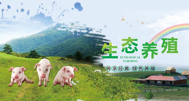 二公主镜头高请无码一区aaa片毛片，揭开宫廷秘事的神秘面纱