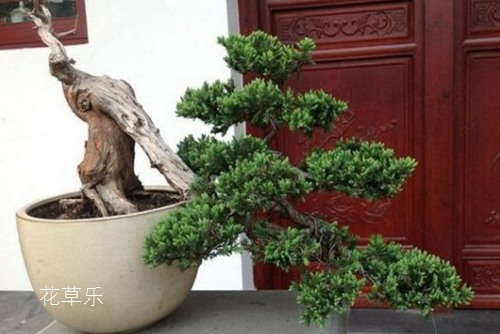 全幅变焦镜头xxoo亚洲精品久久一区激情，摄影艺术的革新与无限可能