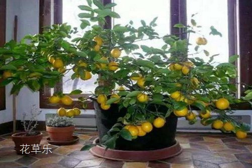 富士扫街镜头语xxoo亚洲精品久久一区激情，捕捉城市生活的瞬间魅力