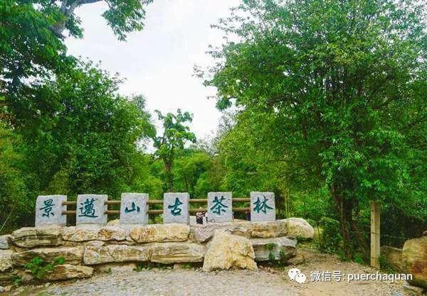 摄影镜头价格表高请无码一区aaa片毛片，摄影镜头价格表与选购指南
